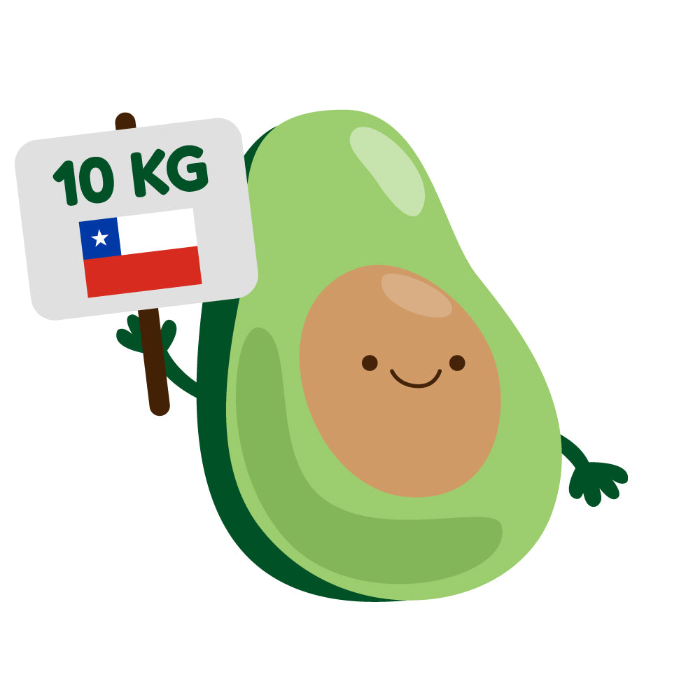 10 Kg Palta Hass