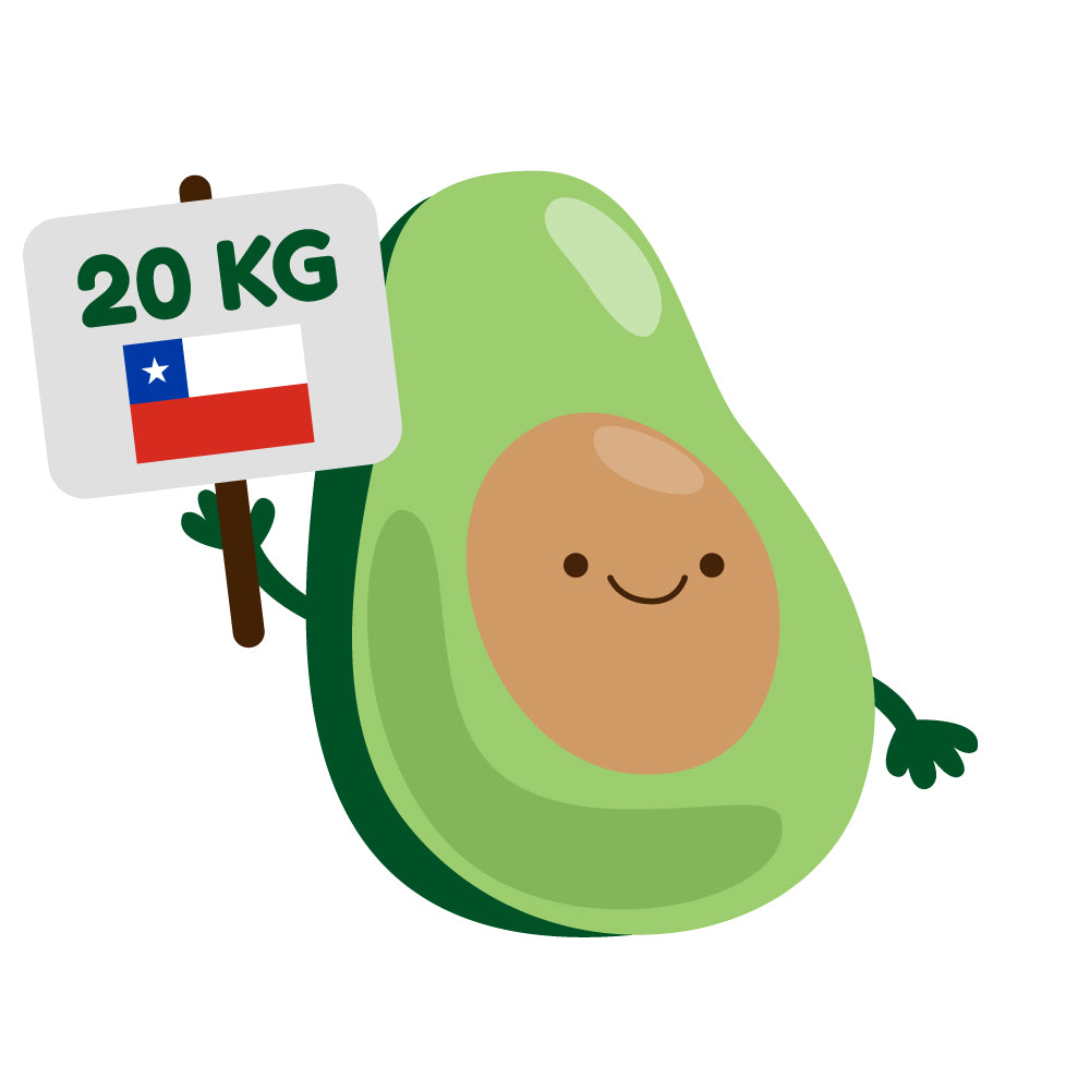 20 Kg Palta Hass Premium
