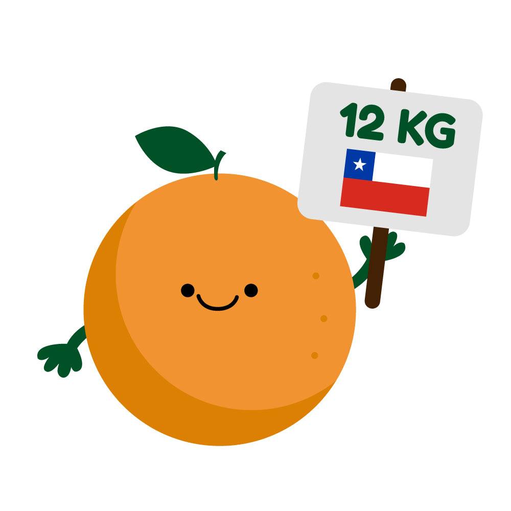 12 kg Naranjas Dulces y Jugosas