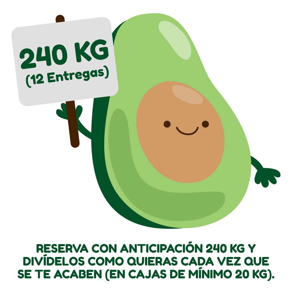 240 Kg Palta Hass Reserva Anticipada 12 Entregas Despacho Gratis